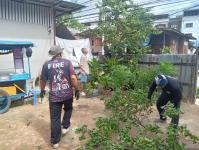 ดับเพลิงนครแม่สอด ออกตัดต้นไม้ บริเวณสี่แยกร้านขายปลา ชุมขนบัวคูณ