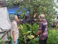 ดับเพลิงนครแม่สอด ออกตัดต้นไม้ บริเวณสี่แยกร้านขายปลา ชุมขนบัวคูณ