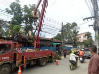 ดับเพลิงนครแม่สอด ออกตัดต้นไม้ บริเวณสี่แยกร้านขายปลา ชุมขนบัวคูณ