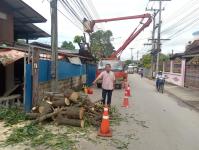 ดับเพลิงนครแม่สอด ออกตัดต้นไม้ บริเวณสี่แยกร้านขายปลา ชุมขนบัวคูณ