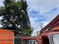 ดับเพลิงนครแม่สอด ออกตัดต้นไม้ บริเวณสี่แยกร้านขายปลา ชุมขนบัวคูณ