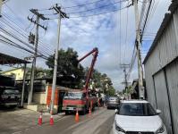 ดับเพลิงนครแม่สอด ออกตัดต้นไม้ บริเวณสี่แยกร้านขายปลา ชุมขนบัวคูณ