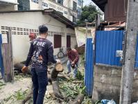 ดับเพลิงนครแม่สอด ออกตัดต้นไม้ บริเวณสี่แยกร้านขายปลา ชุมขนบัวคูณ