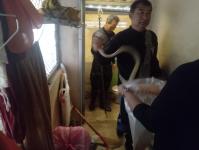 ดับเพลิงแม่สอด ออกจับงู ภายในวัดใหม่หนองบัวคูณ (วัดตรีรัตนาราม)