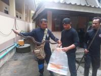 ดับเพลิงแม่สอด ออกจับงู ภายในวัดใหม่หนองบัวคูณ (วัดตรีรัตนาราม)