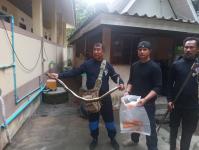 ดับเพลิงแม่สอด ออกจับงู ภายในวัดใหม่หนองบัวคูณ (วัดตรีรัตนาราม)