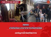 ดับเพลิงแม่สอด ออกจับงู ภายในวัดใหม่หนองบัวคูณ (วัดตรีรัตนาราม)