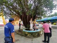 ดับเพลิงนครแม่สอด ออกตัดต้นไม้ภายในวัดบุญญาวาส