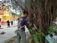 ดับเพลิงนครแม่สอด ออกตัดต้นไม้ภายในวัดบุญญาวาส