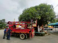 ดับเพลิงนครแม่สอด ออกตัดต้นไม้ภายในวัดบุญญาวาส