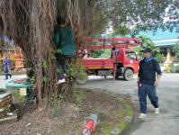 ดับเพลิงนครแม่สอด ออกตัดต้นไม้ภายในวัดบุญญาวาส