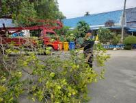 ดับเพลิงนครแม่สอด ออกตัดต้นไม้ภายในวัดบุญญาวาส