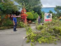 ดับเพลิงนครแม่สอด ออกตัดต้นไม้ภายในวัดบุญญาวาส