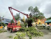 ดับเพลิงนครแม่สอด ออกตัดต้นไม้ภายในวัดบุญญาวาส