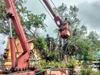 ดับเพลิงนครแม่สอด ออกตัดต้นไม้ภายในวัดบุญญาวาส