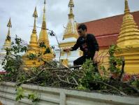 ดับเพลิงนครแม่สอด ออกตัดต้นไม้ภายในวัดบุญญาวาส