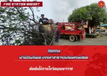 ดับเพลิงนครแม่สอด ออกตัดต้นไม้ภายในวัดบุญญาวาส