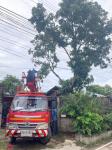 ดับเพลิงนครแม่สอด ออกตัดต้นไม้(มะม่วง) พาดผ่านสายไฟฟ้าชุมชนประชารักษ์ หลังน้ำดื่มเจอาร์