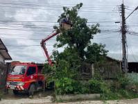 ดับเพลิงนครแม่สอด ออกตัดต้นไม้(มะม่วง) พาดผ่านสายไฟฟ้าชุมชนประชารักษ์ หลังน้ำดื่มเจอาร์
