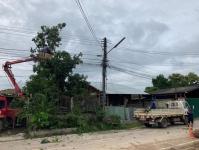 ดับเพลิงนครแม่สอด ออกตัดต้นไม้(มะม่วง) พาดผ่านสายไฟฟ้าชุมชนประชารักษ์ หลังน้ำดื่มเจอาร์