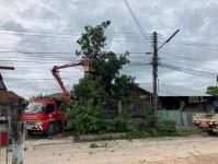 ดับเพลิงนครแม่สอด ออกตัดต้นไม้(มะม่วง) พาดผ่านสายไฟฟ้าชุมชนประชารักษ์ หลังน้ำดื่มเจอาร์