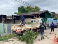 ดับเพลิงนครแม่สอด ออกตัดต้นไม้(มะม่วง) พาดผ่านสายไฟฟ้าชุมชนประชารักษ์ หลังน้ำดื่มเจอาร์