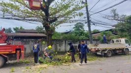 ดับเพลิงนครแม่สอด ออกตัดต้นไม้พาดผ่านสายไฟฟ้าตรงข้ามโรงเรียนแม่สอด