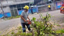 ดับเพลิงนครแม่สอด ออกตัดต้นไม้พาดผ่านสายไฟฟ้าตรงข้ามโรงเรียนแม่สอด