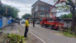 ดับเพลิงนครแม่สอด ออกตัดต้นไม้พาดผ่านสายไฟฟ้าตรงข้ามโรงเรียนแม่สอด