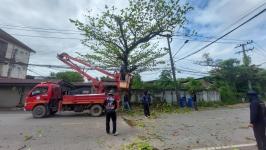 ดับเพลิงนครแม่สอด ออกตัดต้นไม้พาดผ่านสายไฟฟ้าตรงข้ามโรงเรียนแม่สอด