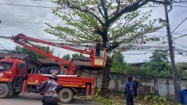 ดับเพลิงนครแม่สอด ออกตัดต้นไม้พาดผ่านสายไฟฟ้าตรงข้ามโรงเรียนแม่สอด