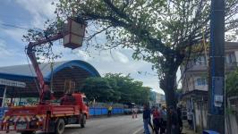 ดับเพลิงนครแม่สอด ออกตัดต้นไม้พาดผ่านสายไฟฟ้าตรงข้ามโรงเรียนแม่สอด