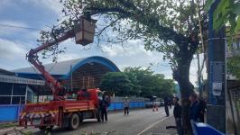 ดับเพลิงนครแม่สอด ออกตัดต้นไม้พาดผ่านสายไฟฟ้าตรงข้ามโรงเรียนแม่สอด