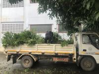 ดับเพลิงแม่สอด ตัดต้นไม้บริเวณหลังวัดชุมพลคีรี