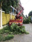ดับเพลิงแม่สอด ตัดต้นไม้บริเวณหลังวัดชุมพลคีรี