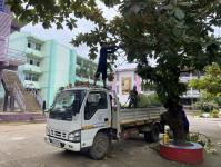 ดับเพลิงแม่สอด ออกตัดต้นไม้ภายในโรงเรียนเทศบาลวัดชุมพลคีรี