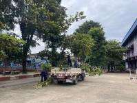 ดับเพลิงแม่สอด ออกตัดต้นไม้ภายในโรงเรียนเทศบาลวัดชุมพลคีรี