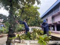 ดับเพลิงแม่สอด ออกตัดต้นไม้ภายในโรงเรียนเทศบาลวัดชุมพลคีรี