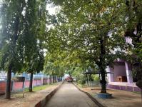 ดับเพลิงแม่สอด ออกตัดต้นไม้ภายในโรงเรียนเทศบาลวัดชุมพลคีรี