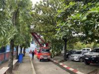 ดับเพลิงแม่สอด ออกตัดต้นไม้ภายในโรงเรียนเทศบาลวัดชุมพลคีรี