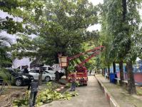 ดับเพลิงแม่สอด ออกตัดต้นไม้ภายในโรงเรียนเทศบาลวัดชุมพลคีรี