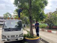 ดับเพลิงแม่สอด ออกตัดต้นไม้ภายในโรงเรียนเทศบาลวัดชุมพลคีรี