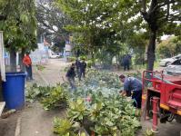 ดับเพลิงแม่สอด ออกตัดต้นไม้ภายในโรงเรียนเทศบาลวัดชุมพลคีรี