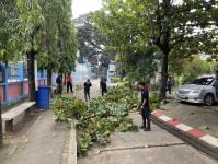 ดับเพลิงแม่สอด ออกตัดต้นไม้ภายในโรงเรียนเทศบาลวัดชุมพลคีรี