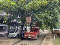 ดับเพลิงแม่สอด ออกตัดต้นไม้ภายในโรงเรียนเทศบาลวัดชุมพลคีรี