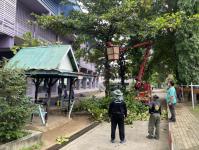 ดับเพลิงแม่สอด ออกตัดต้นไม้ภายในโรงเรียนเทศบาลวัดชุมพลคีรี