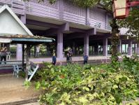 ดับเพลิงแม่สอด ออกตัดต้นไม้ภายในโรงเรียนเทศบาลวัดชุมพลคีรี