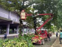 ดับเพลิงแม่สอด ออกตัดต้นไม้ภายในโรงเรียนเทศบาลวัดชุมพลคีรี