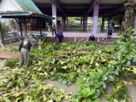 ดับเพลิงแม่สอด ออกตัดต้นไม้ภายในโรงเรียนเทศบาลวัดชุมพลคีรี