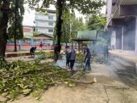 ดับเพลิงแม่สอด ออกตัดต้นไม้ภายในโรงเรียนเทศบาลวัดชุมพลคีรี
